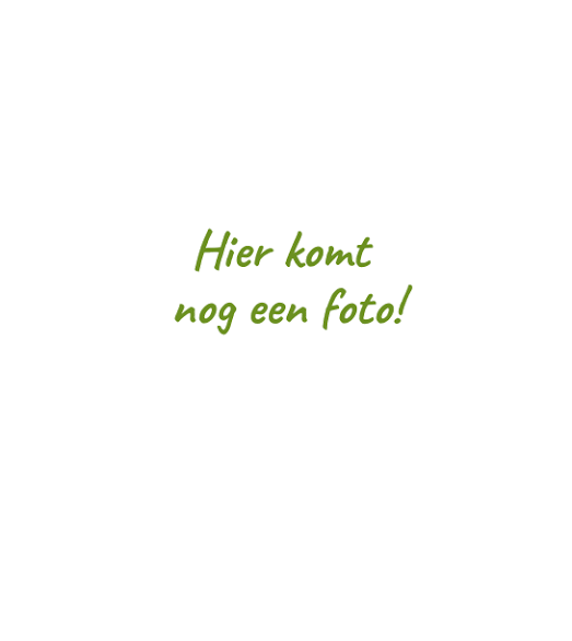 Camila Mulder - Docent regio ​Doetinchem​